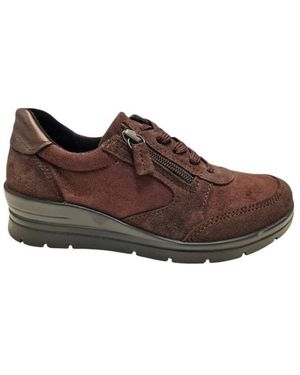Longo 1135543 - Bruin