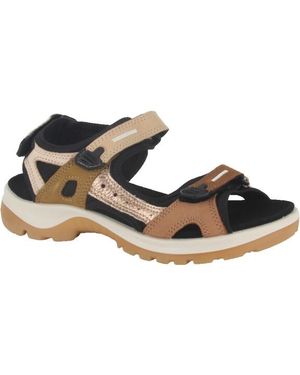 Ecco 069563-52043 Sandalen Sportief - Bruin