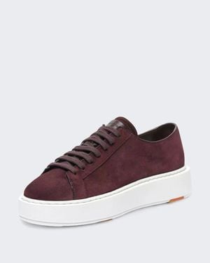 Santoni Sneaker Leer - Bruin