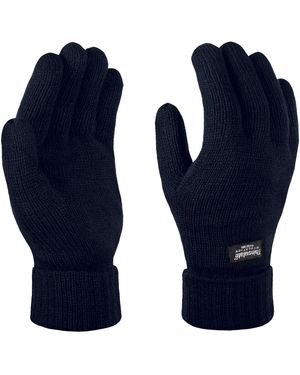 Regatta Thinsulate Thermische Winterhandschoenen (Marine) - Blauw