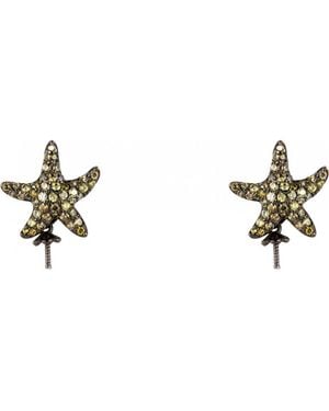 Lancaster Jla-Ear-Star-3 Ladies Earrings - Black