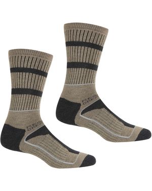 Regatta Samaris 3 Season Socks (Pack Of 2) (Moccasin/Briar) - Grey
