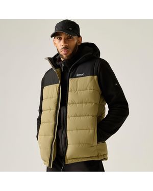 Regatta Aldthorn Body Warmer (Desert/Zwart) - Groen