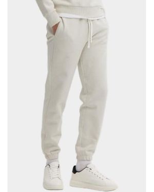Basefield Jogging Broek 219018489/247 - Grijs