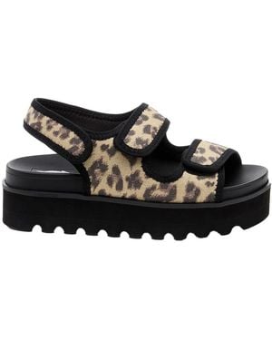 Rocket Dog Ladies Balmy Dexter Sandals - Black