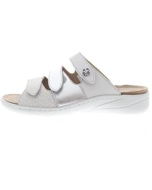 SOLIDUS Wellness Spezial - Wit