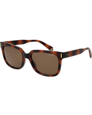 Polaroid Pld 6191 S 54 086Sp Cool Sunglasses - Brown