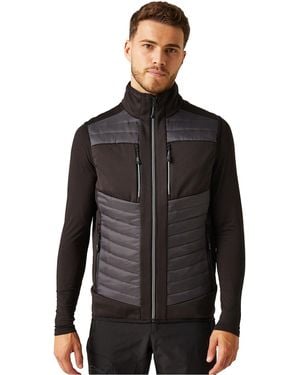 Regatta E-Volve Hybride Thermo Gilet (As/Zwart)