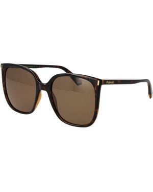 Polaroid Brown Plastic Sunglasses