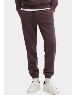 Basefield Jogging Broek 219018489/652 - Paars