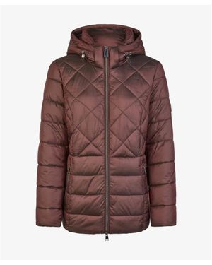 Lebek 10540062 376 Wine - Bruin
