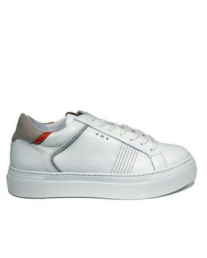 AQA A8295 - Wit