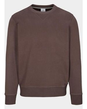 Basefield Pullover 219018471/652 - Bruin