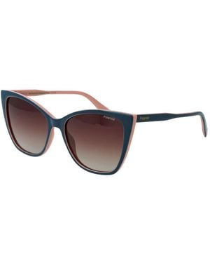 Polaroid Bicolour Plastic Sunglasses - Brown