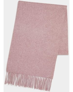 Todd Synder X Champion Brushed Cashmere Scarf - Pink
