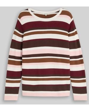 Tom Tailor Plus Size - Strickpullover aus Baumwolle - Braun