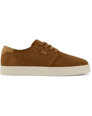 TOMS Carlo 2.0 Trainer - Brown