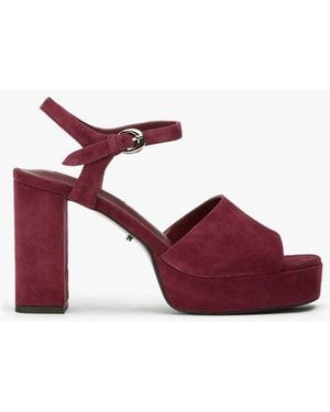 Tony Bianco Farrah Vino Suede Dress Sandal - Red