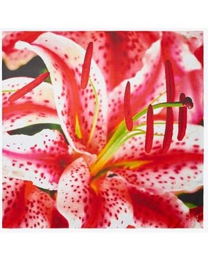 Tory Burch Lily Silk Square Scarf - Red