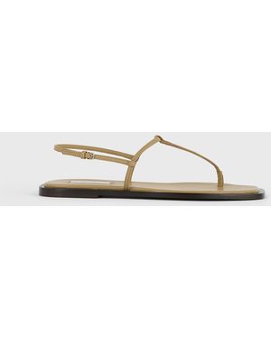 TOTEME T-Strap Nappa Sandals Desert/Dark - White
