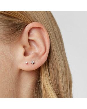 Tous White Gold Diamonds Earrings. 0,02ct. - Brown