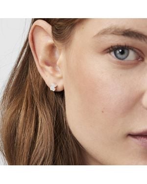 Tous Silver Sweet Dolls Earrings Bear Motif - Brown