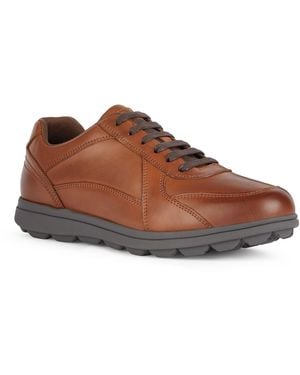 Geox U Spherica Ec12 Leather Bovine Full Grain Cognac Trainers - Brown