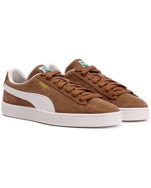 PUMA Classic Suede Haute Coffee/ Trainers - Brown
