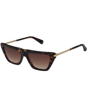 AllSaints Minka Sunglasses - Brown