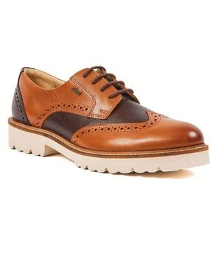 Pod Kortney Zapatos Brogues De Cuero Para Mujer En Multi - Marrón