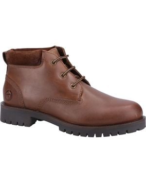 Cotswold Banbury stiefel Aus Leder - Braun