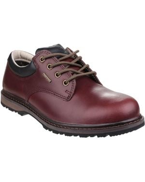 Cotswold Stonesfield Kastanienbraune Wanderschuhe - Rot