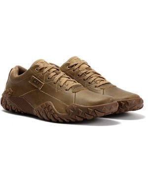 Caterpillar Gridlock Lo Full Grain Leather Beaned Lace-Up Shoes - Brown