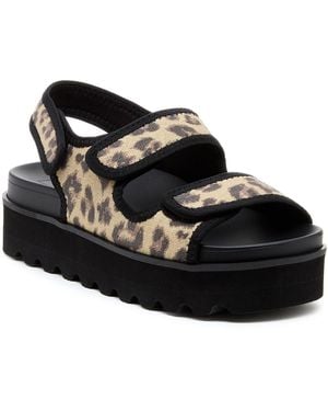 Rocket Dog Balmy Dexter Textile Tan/ Sandals - Black