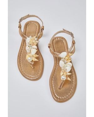 Trendyol Bronze Sea Conch Pearl Detaillierte Flip-Flop-Stilvolle Sandalen Für Damen - Weiß