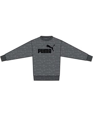PUMA Crew Sweats, Regular, Langarm, Crew Neck, Regular, Logo Print - Grau