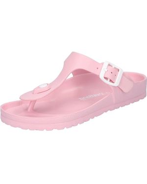 Westland Martinique 02 - Pink
