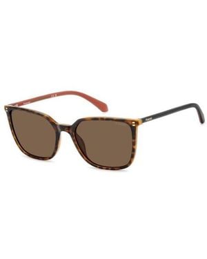 Polaroid Occhiali Da Sole Pld 4209/S/X - Marrone