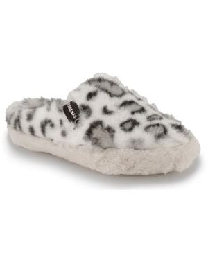 Verbenas Pantofole Yuma - Grigio