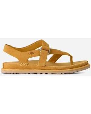 UGG Goldengaze Toe Post Suede Sandals - Black