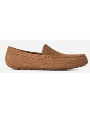 UGG Chausson Linscot Unlined - Blanc