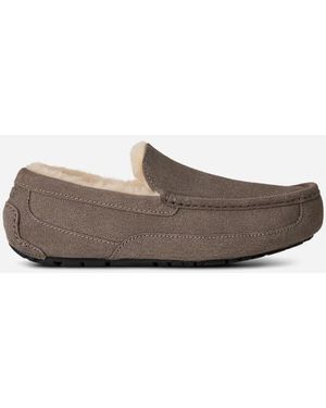 UGG Ascot Sheepskin Slipper Loafers - Grey