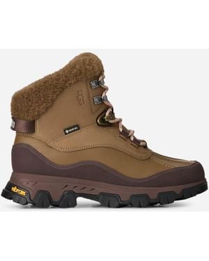 UGG Adirondack Meridian Hiker For - Brown