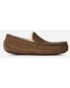 UGG Ascot Pour Homme - Marron