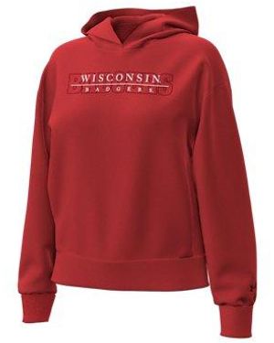 Under Armour Ua Icon Fleece Collegiate Hoodie - Red