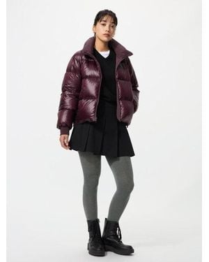 Uniqlo Heattech Leotardos Térmicos - Rojo