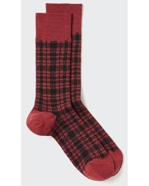 Uniqlo Heattech Socks (Checked) - Red