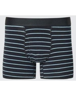 Uniqlo Cotton Boxer Briefs (Striped) - Blue