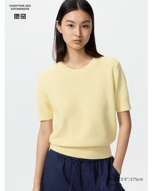 Uniqlo Cotton Crew Neck Jumper (Short Sleeve) - Yellow