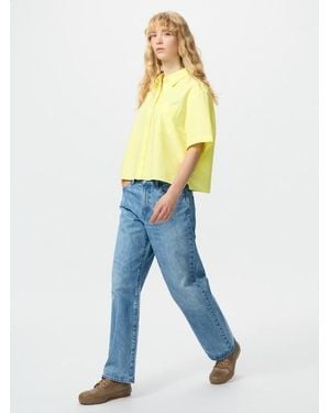 Uniqlo Straight Jeans - Blue